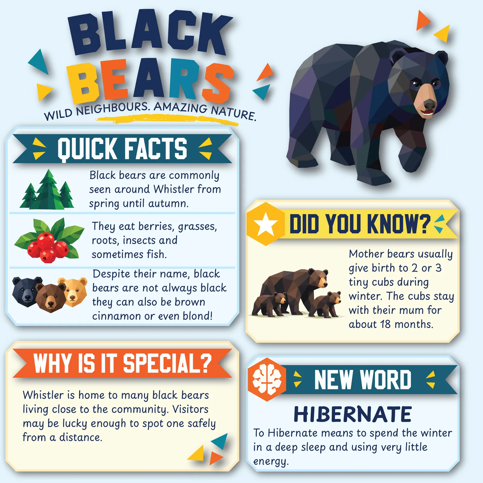 The reverse page with facts about Whistler black bears